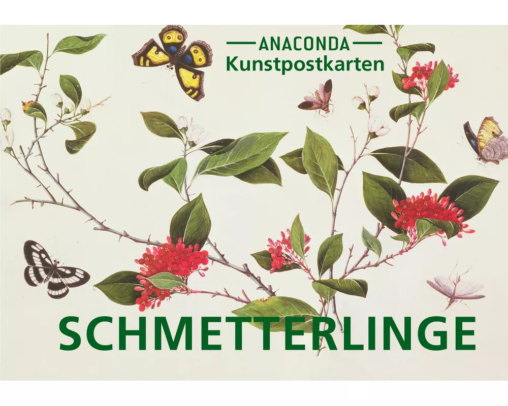 Postkarten-Set Schmetterlinge