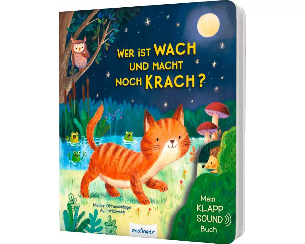 Mein Klapp-Sound-Buch: Wer ist wach und macht noch Krach?