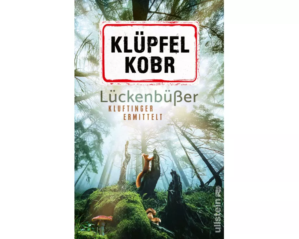 Lückenbüßer (Kluftinger-Krimis 13)