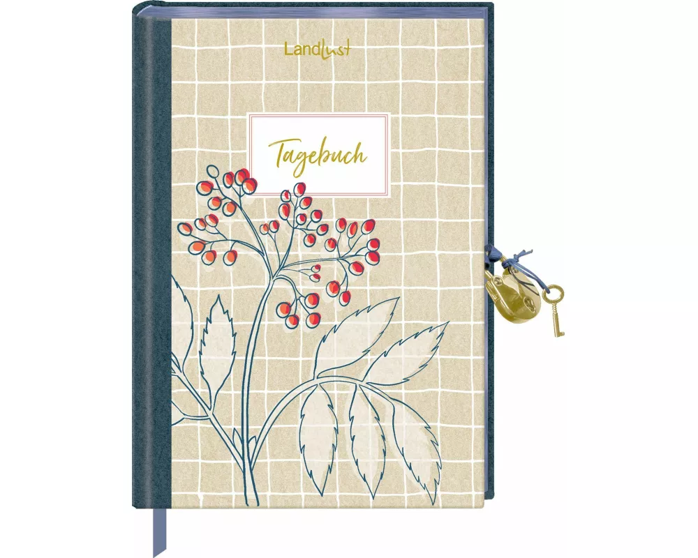 Tagebuch mit Schloss