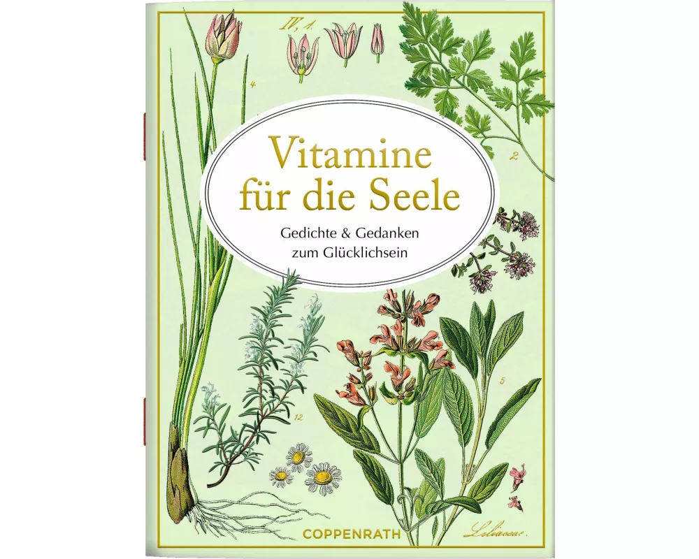 Vitamine für die Seele