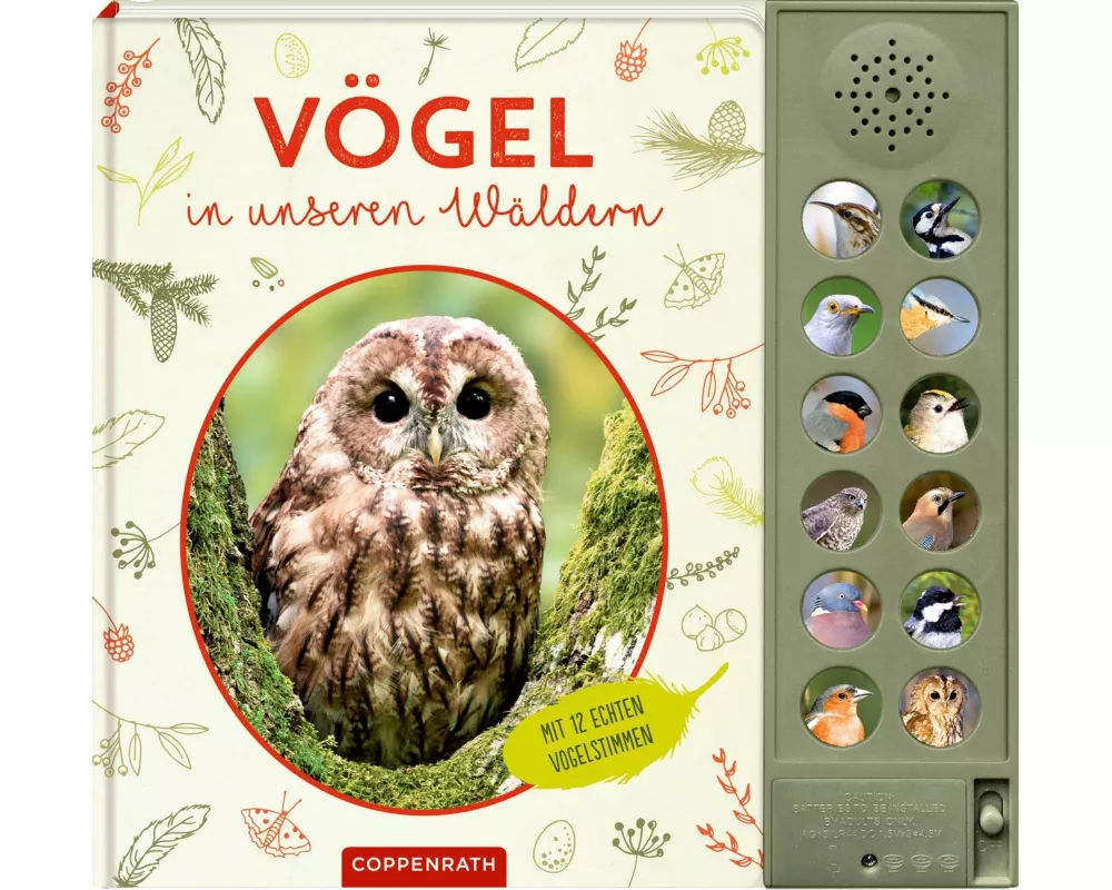 Vögel in unseren Wäldern