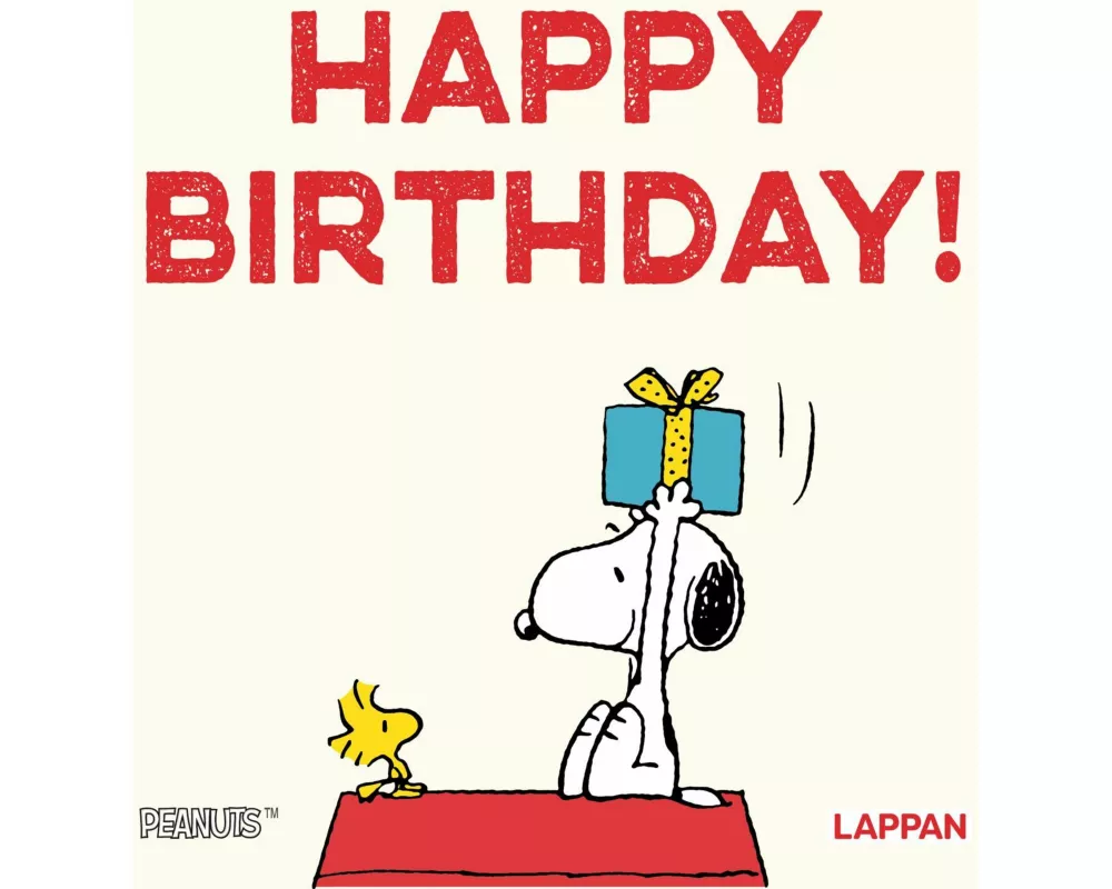 Peanuts Geschenkbuch: Happy Birthday!
