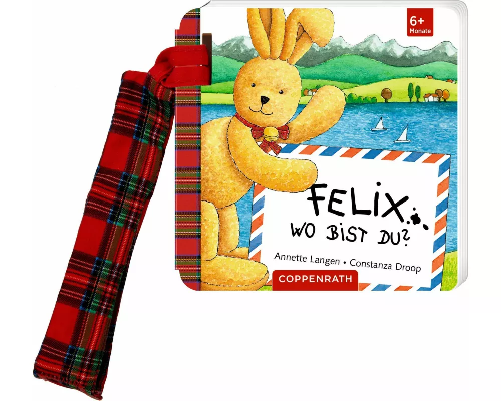 Felix, wo bist du? (Buggybuch)