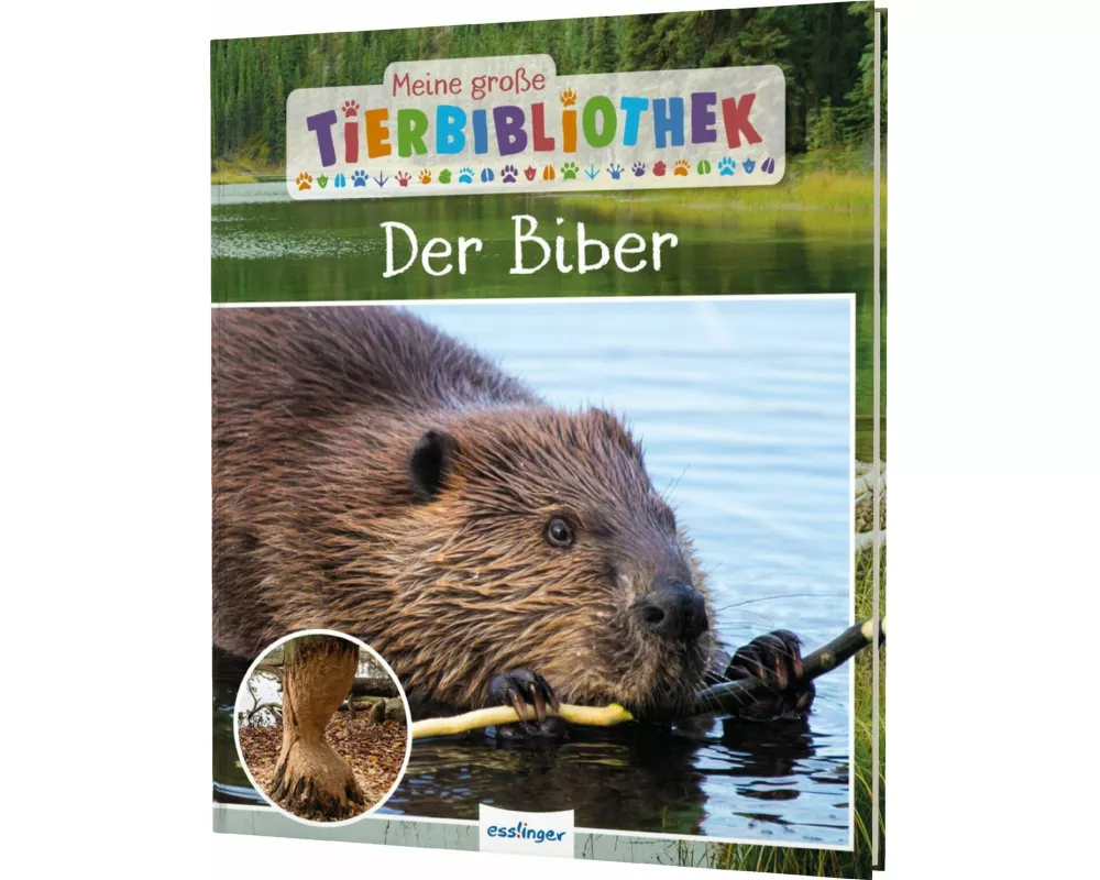 Meine große Tierbibliothek: Der Biber
