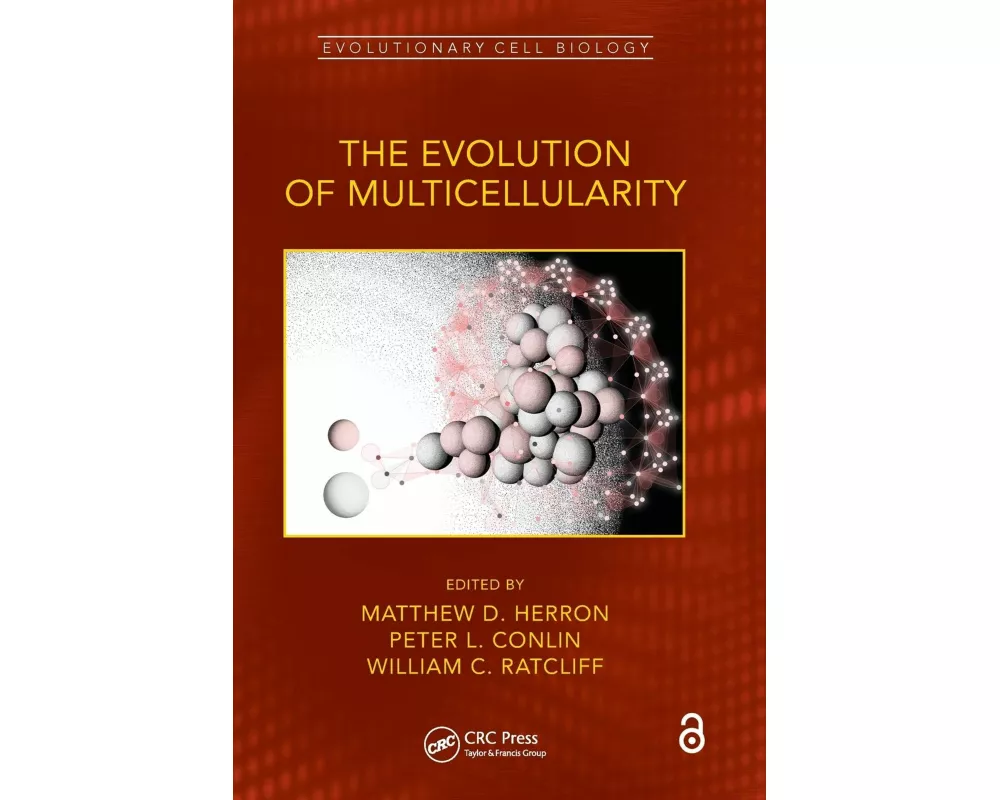 The Evolution of Multicellularity
