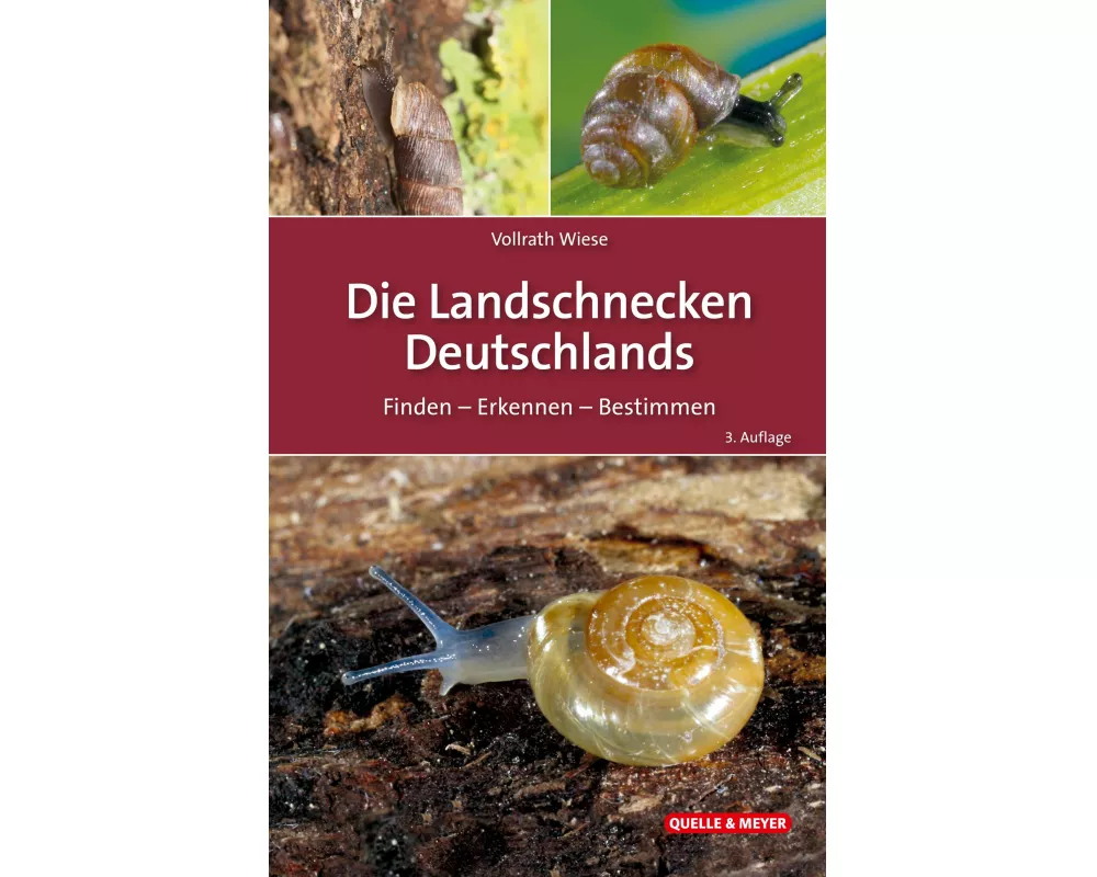 Die Landschnecken Deutschlands