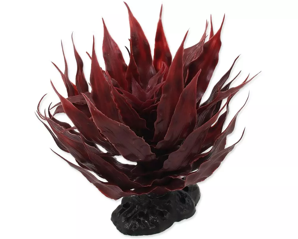Repti Planet Sukulent Agave Red, 18 cm