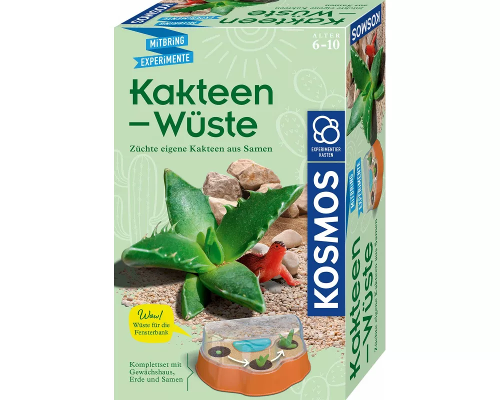 Kakteen-Wüste