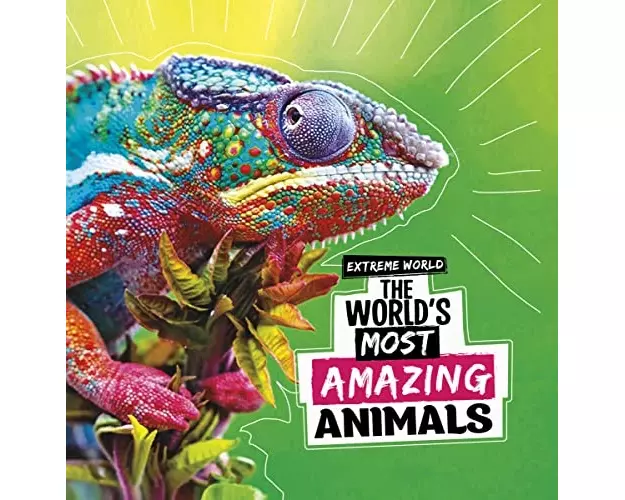 The World's Most Amazing Animals