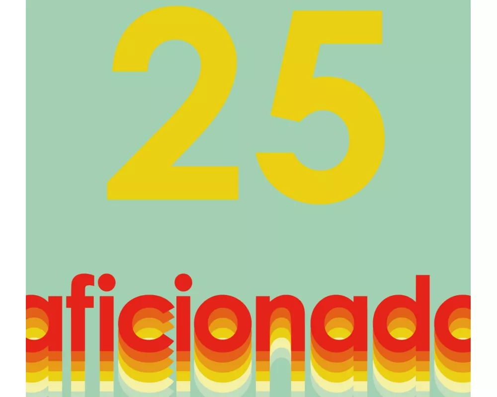 25 Years Of Aficionado (Jason Boardman+Moonboots)