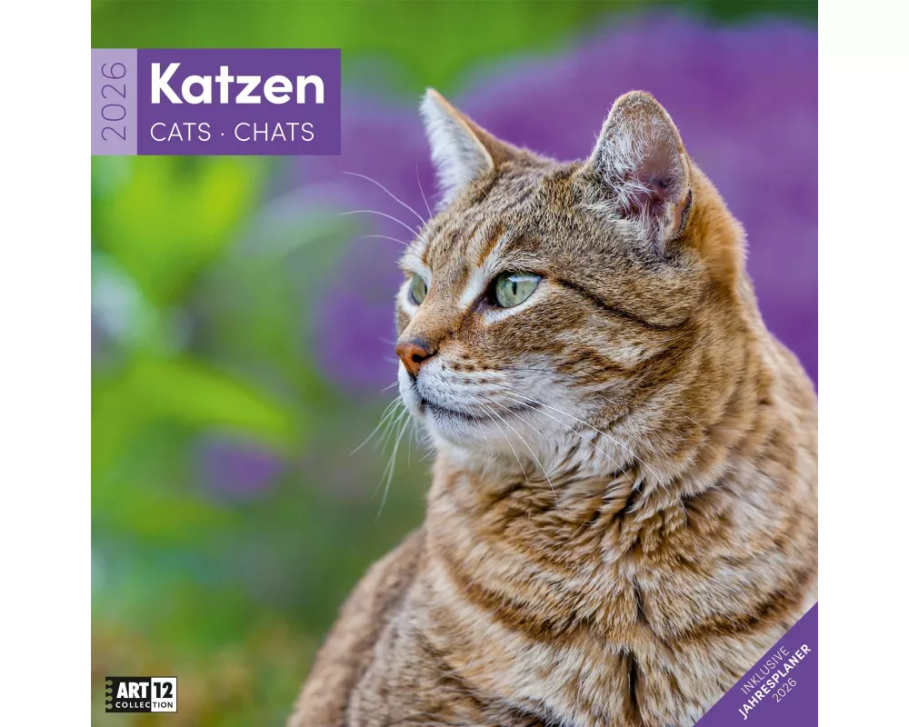 Katzen Broschürenkalender 2026 - 30x30 - Art12