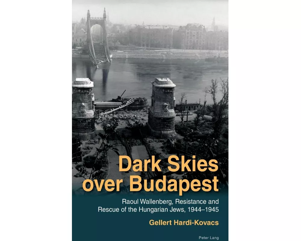 Dark Skies over Budapest