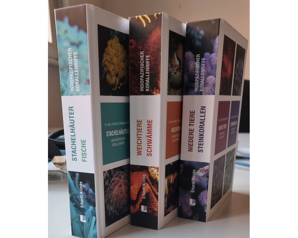 Steinkorallen/Niedere Tiere/Weichtiere/Schwämme/Stachelhäuter/Fische indopazifischer Korallenriffe