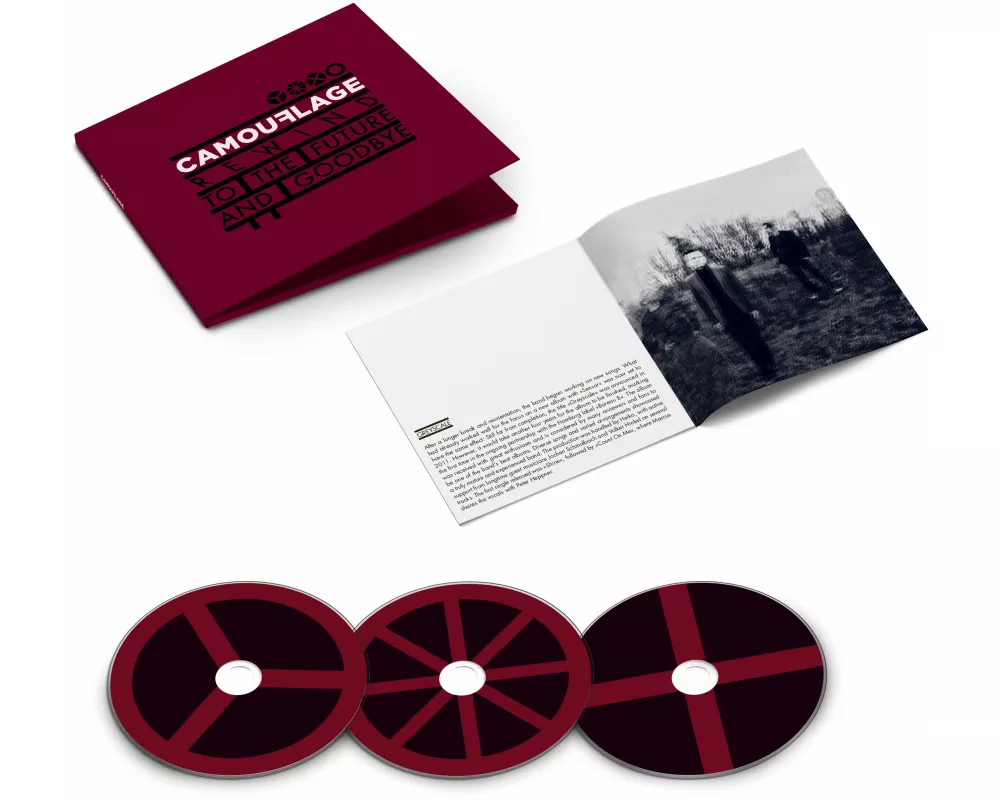 Rewind To The Future And Goodbye (3CD)