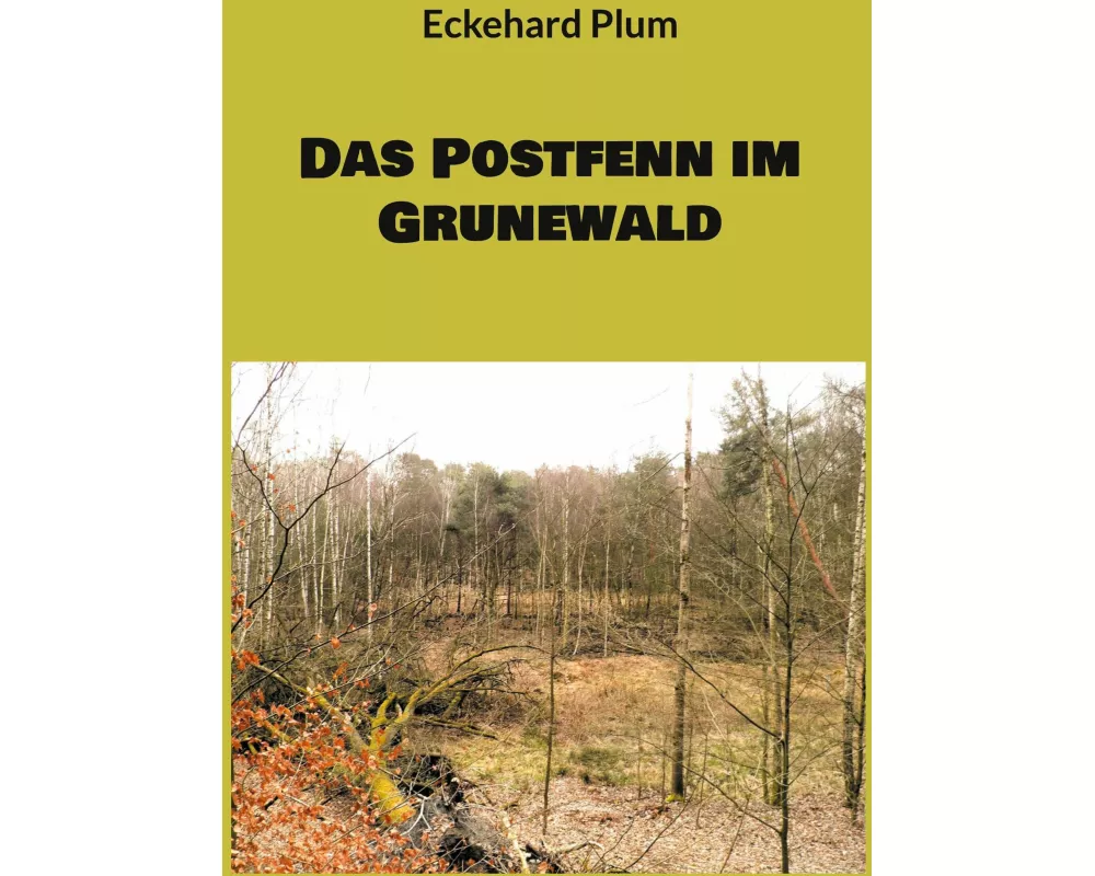 Das Postfenn im Grunewald