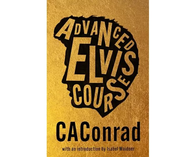 Advanced Elvis Course