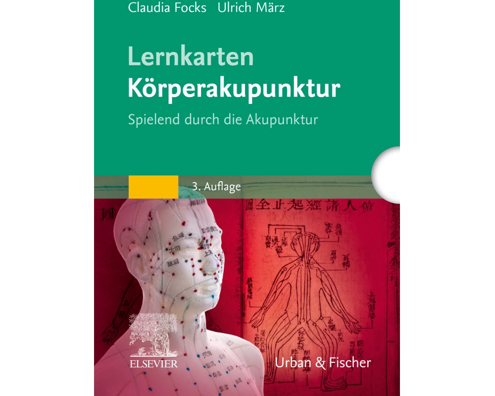 Lernkarten Körperakupunktur