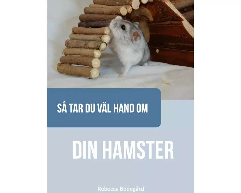 Så tar du väl hand om din hamster