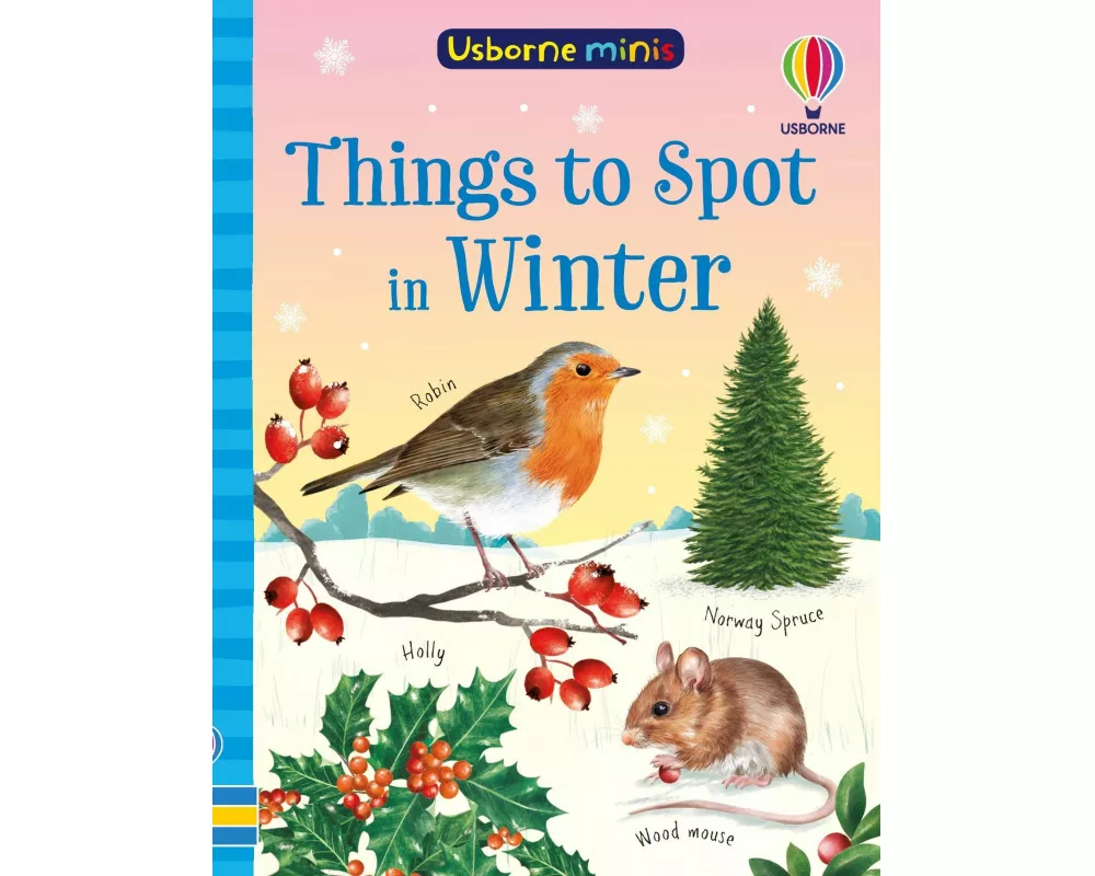 Things to Spot in Winter