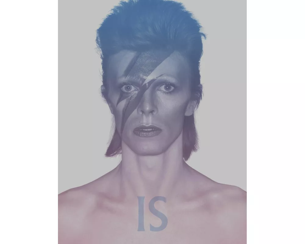 David Bowie Is