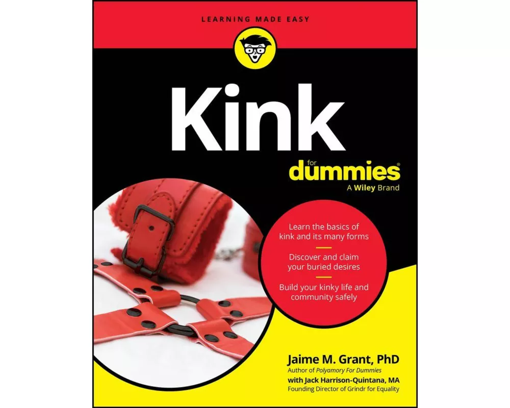 Kink For Dummies