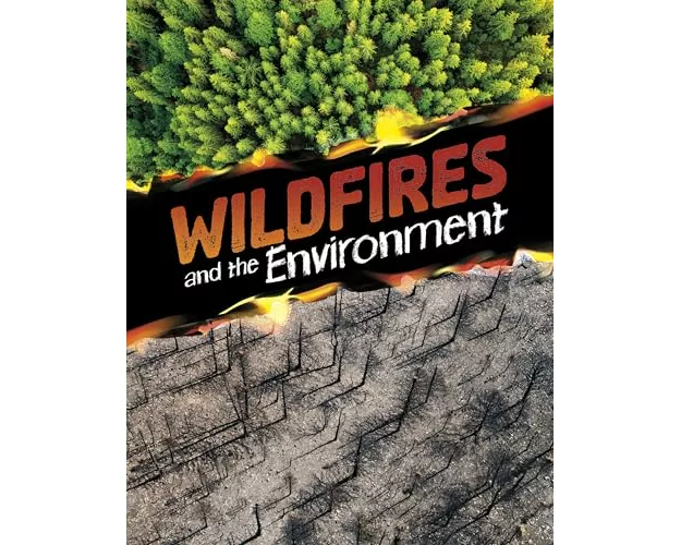 Wildfires and the Environment