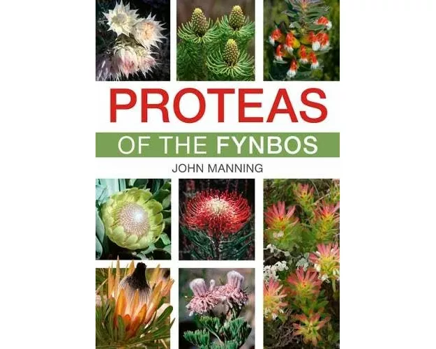 Proteas of the Fynbos