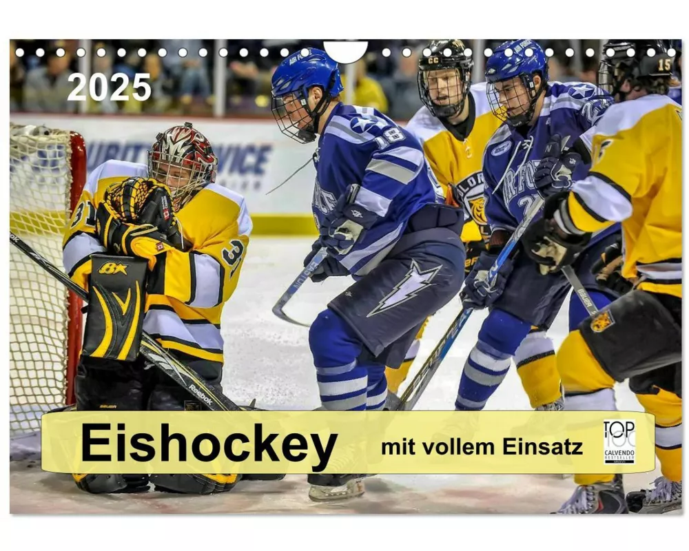 Mit vollem Einsatz - Eishockey (Wandkalender 2025 DIN A4 quer), CALVENDO Monatskalender