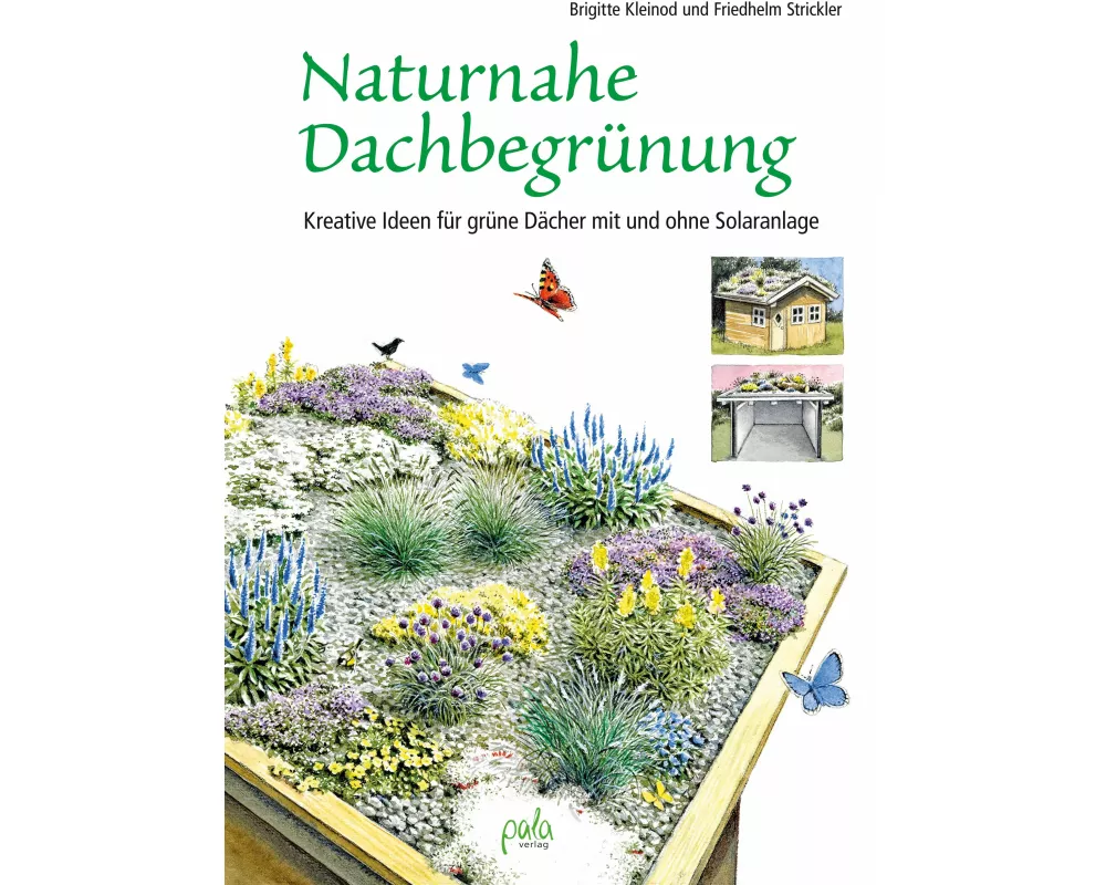 Unser blühendes Dach