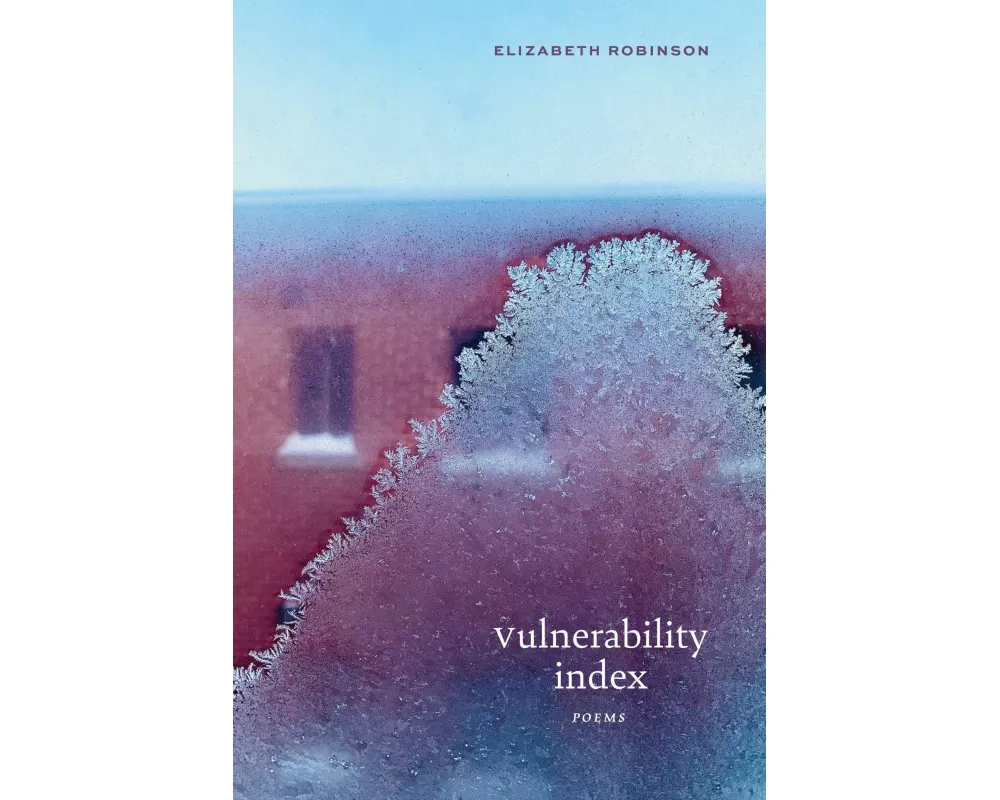 Vulnerability Index