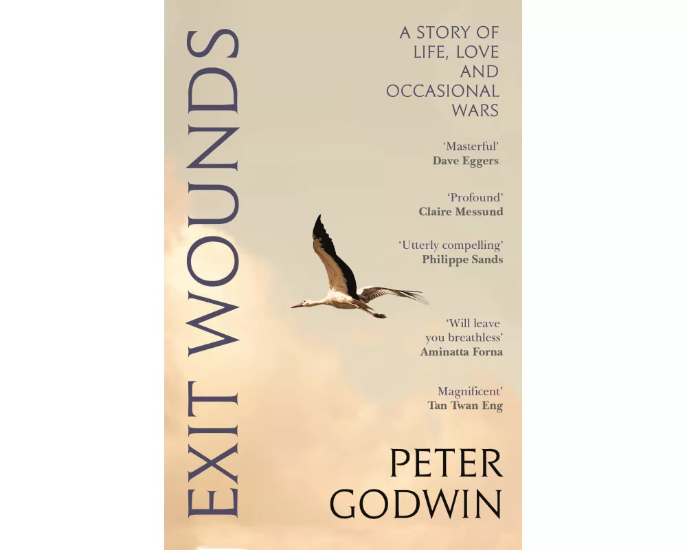 Exit Wounds