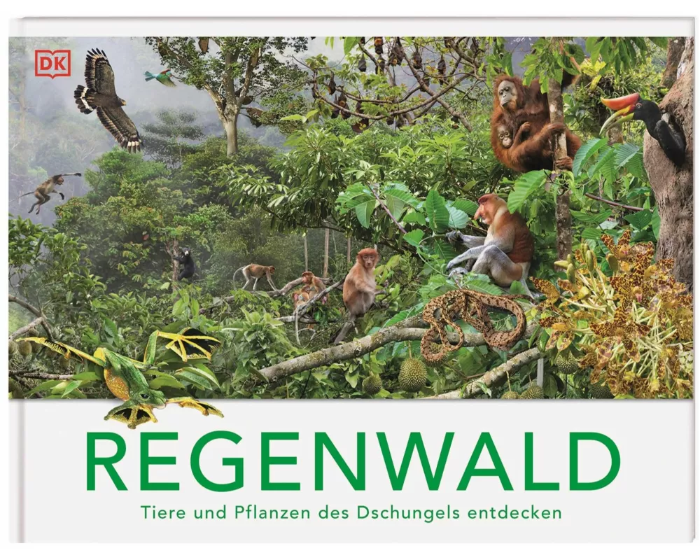 Regenwald