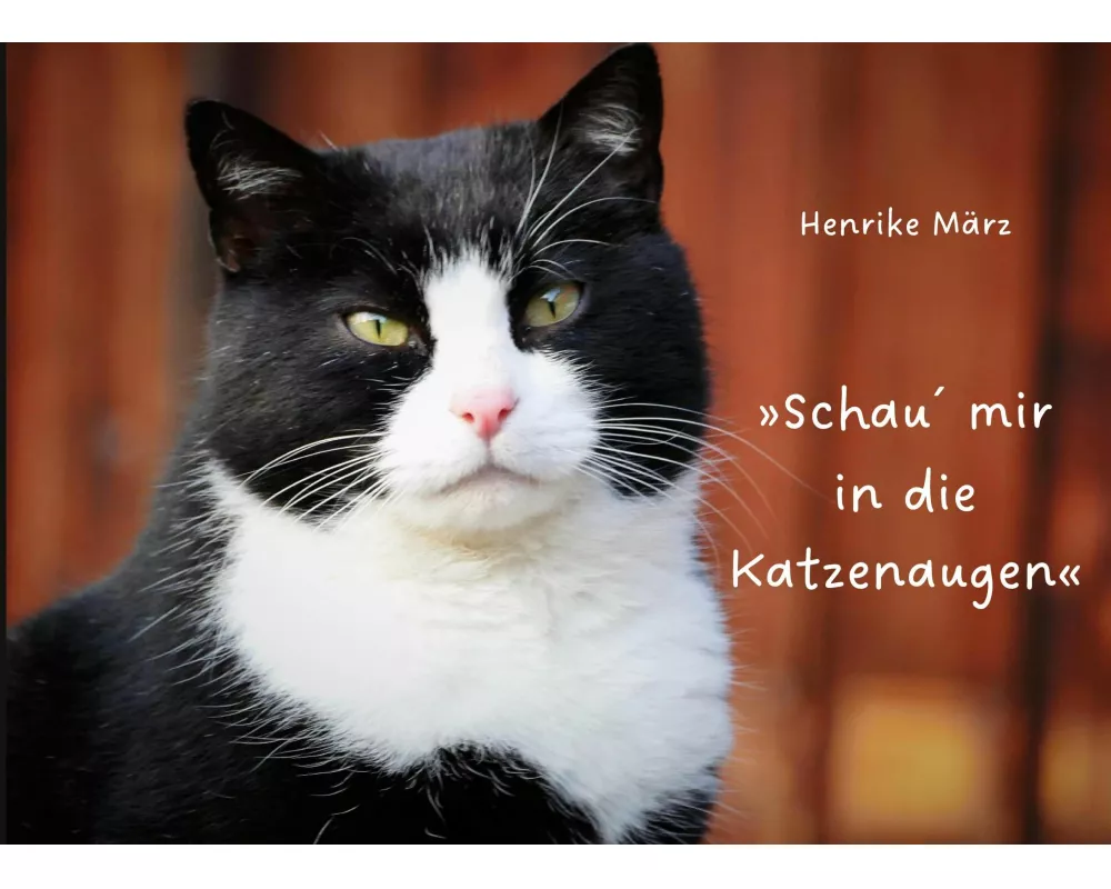 Schau´ mir in die Katzenaugen