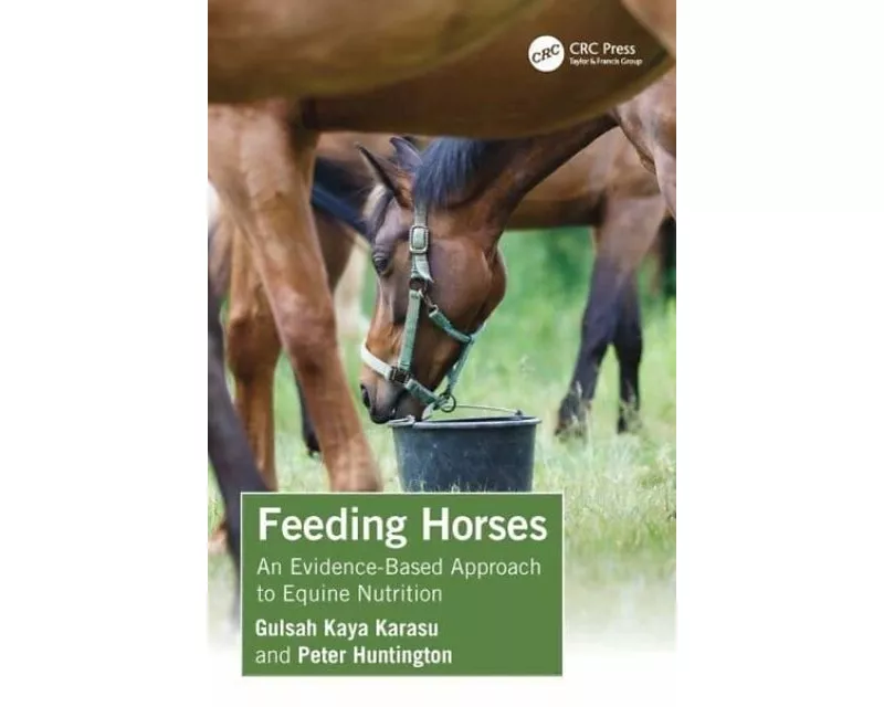 Feeding Horses