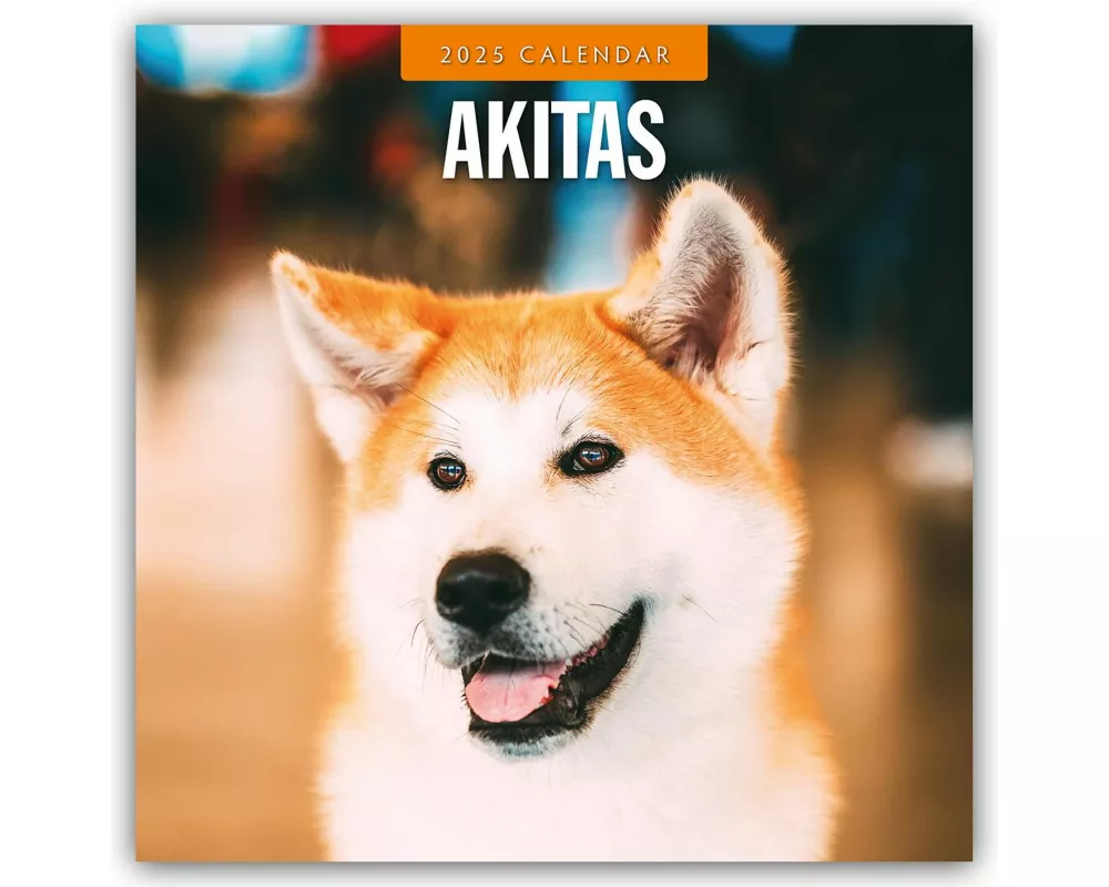 Akitas 2025 Square Wall Calendar
