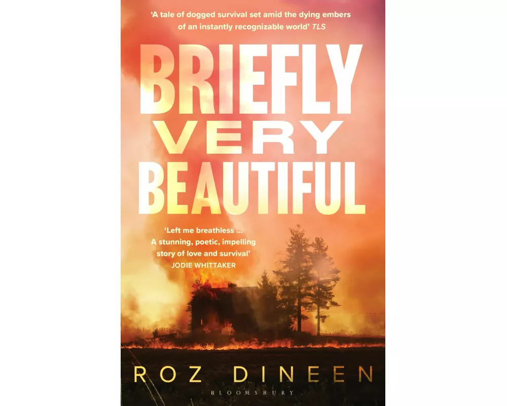 Briefly Very Beautiful