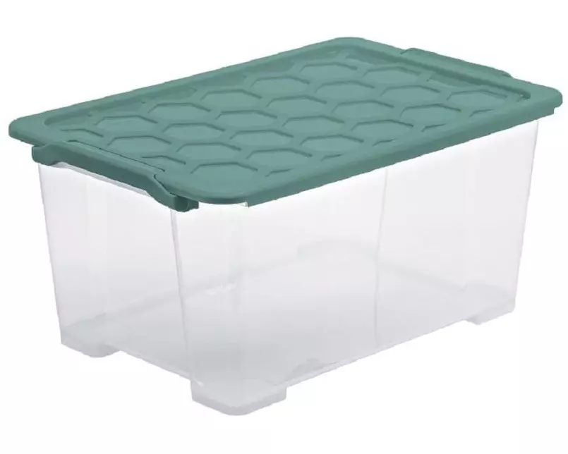Rotho Aufbewahrungsbox Evo Safe 44 l, Grün/Transparent