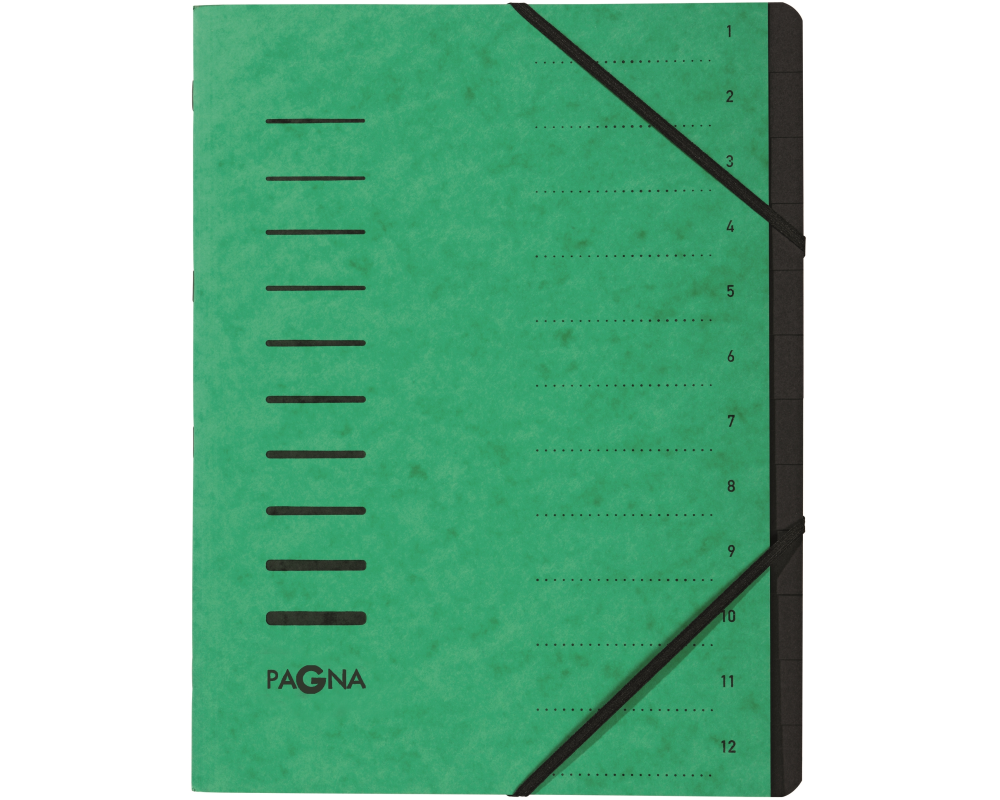 PAGNA Ordnungsmappe A4 40059-03 grün 12-teilig