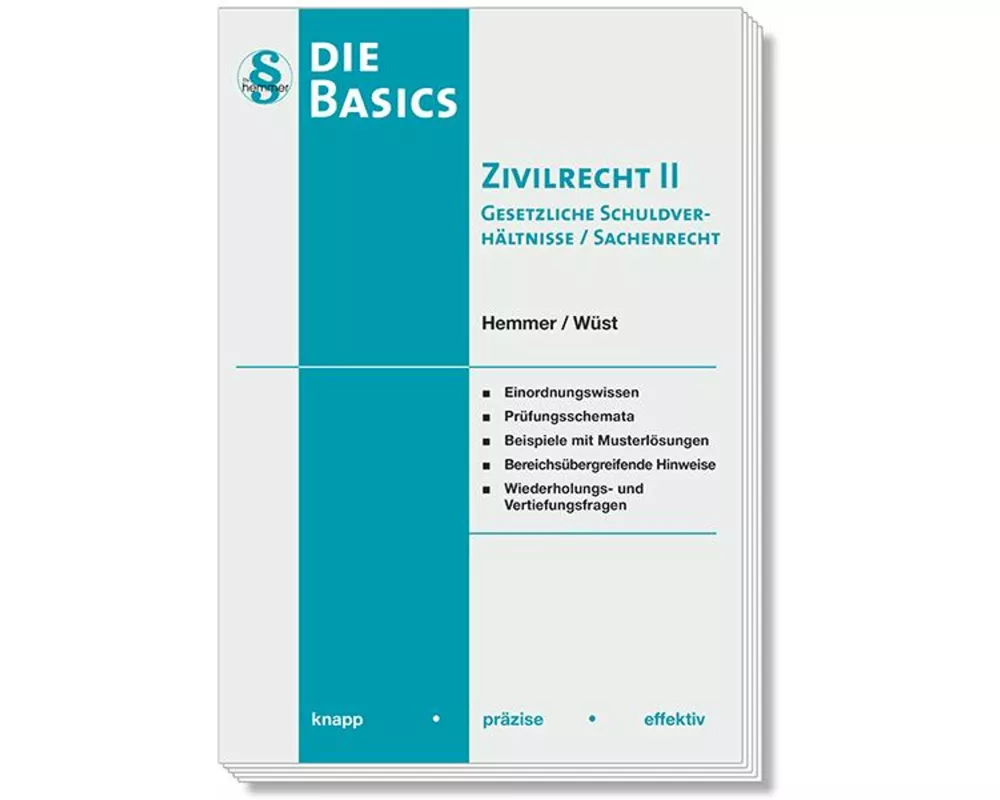 Basics Zivilrecht II Gesetzliche Schuldverhältnisse / Sachenrecht