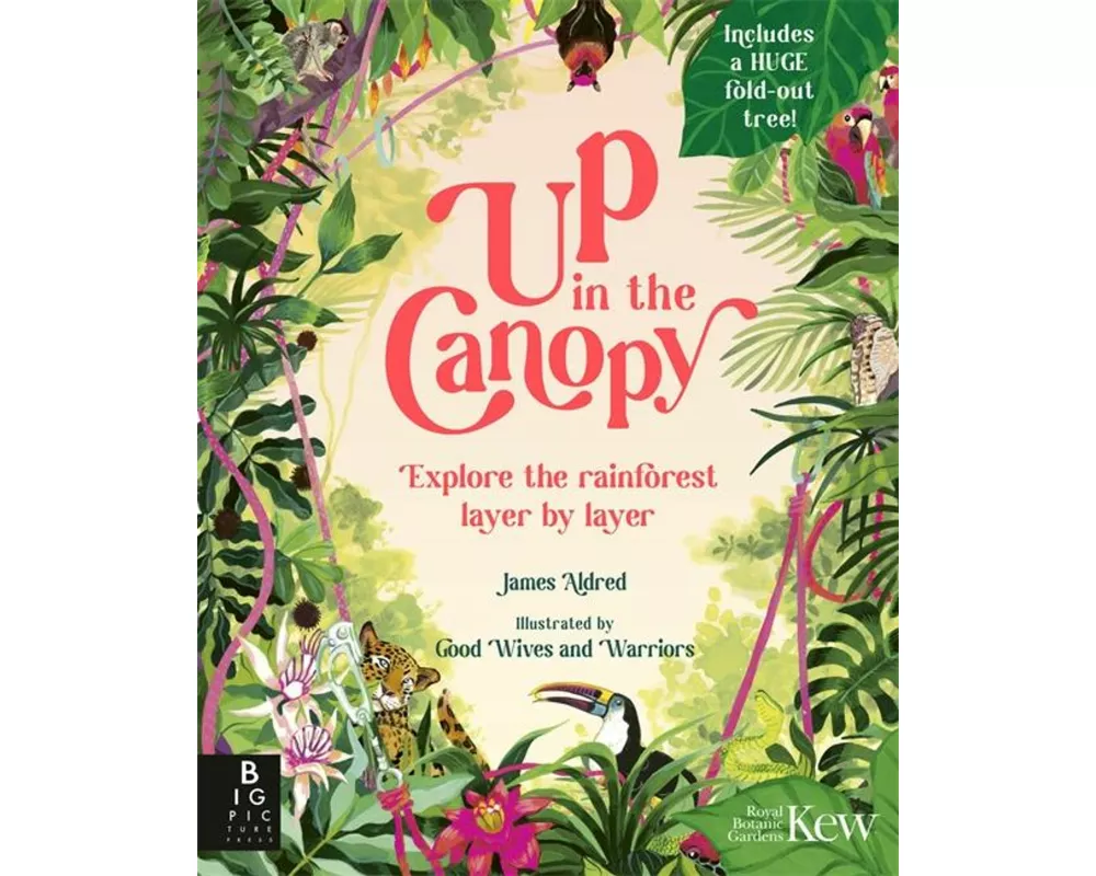 Up in the Canopy