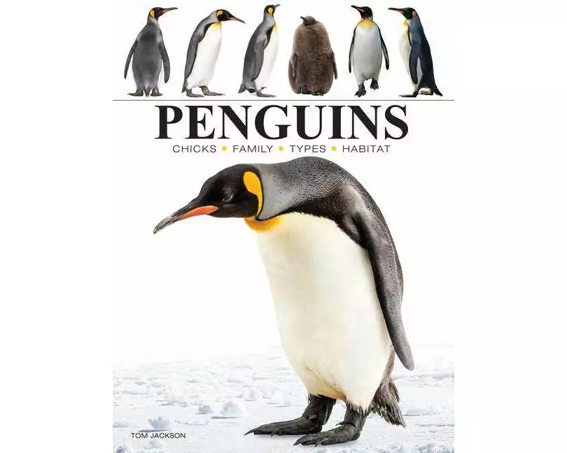 Penguins