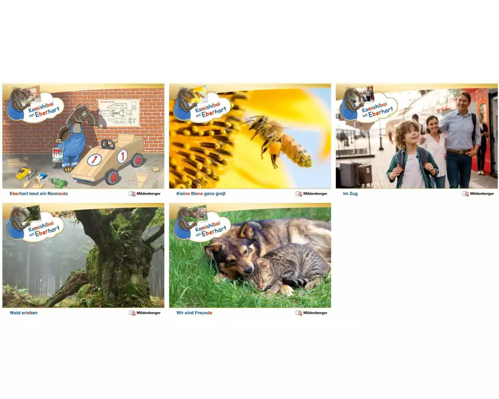 Paket Kamishibai mit Eberhart