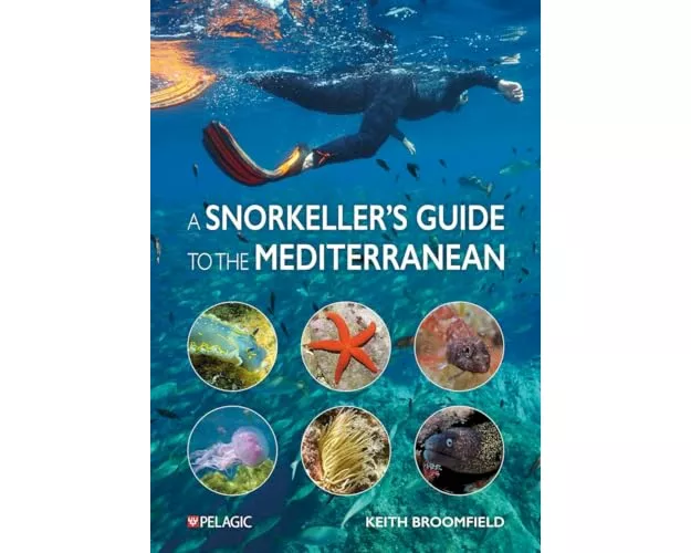 A Snorkeller’s Guide to the Mediterranean