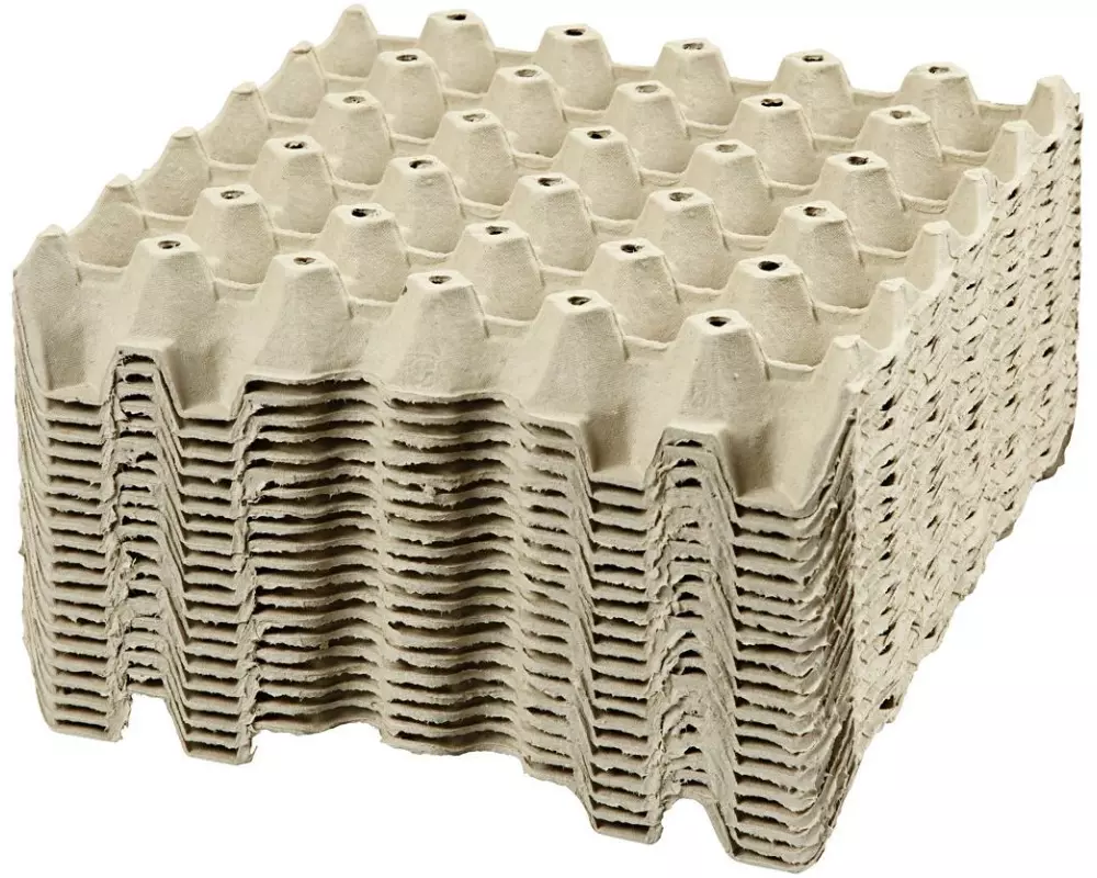 Creativ Company Papp-Schachtel Eier 29 x 29 x 4 cm 20 Stück
