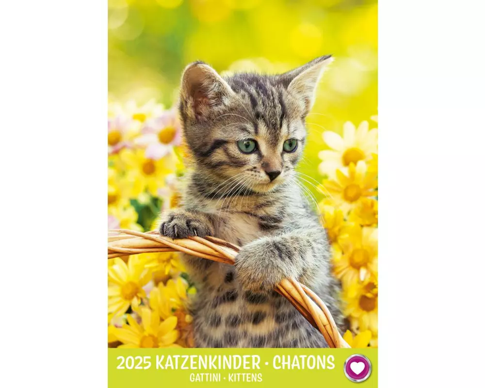 TH Kalender Katzenkinder 23.7 x 34 cm