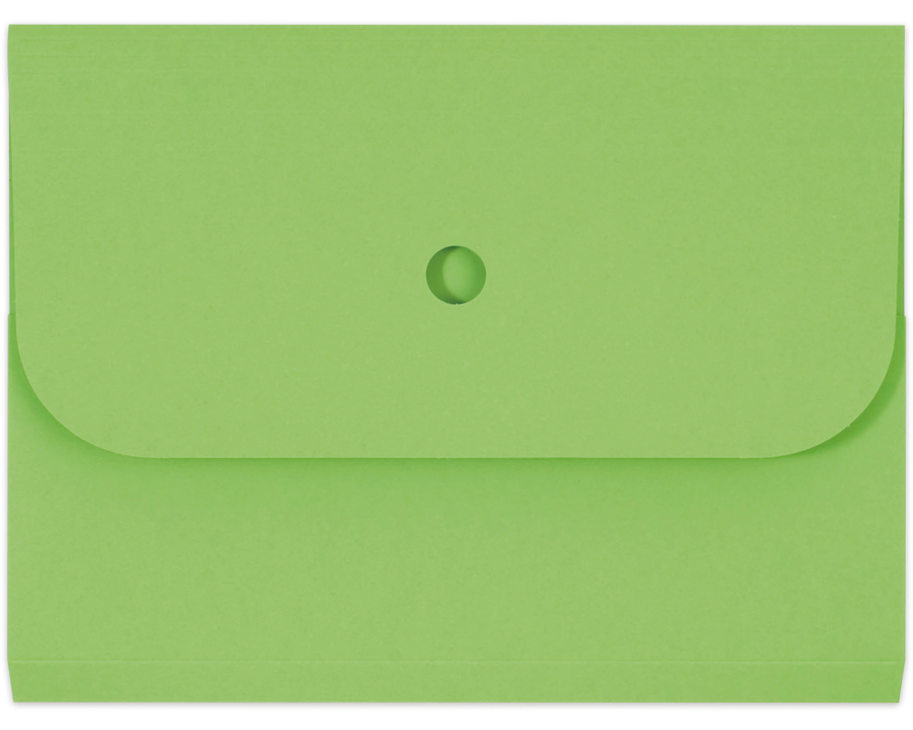 ELCO Organisationsmappe Ordo A4 29494.62 forte, grün 25 Stück