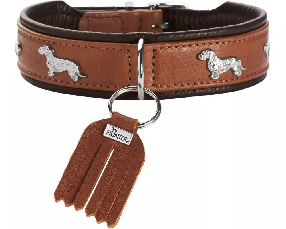Hunter Teckel-Halsband München 32/XS, Rindsleder, Cognac/Schwarz