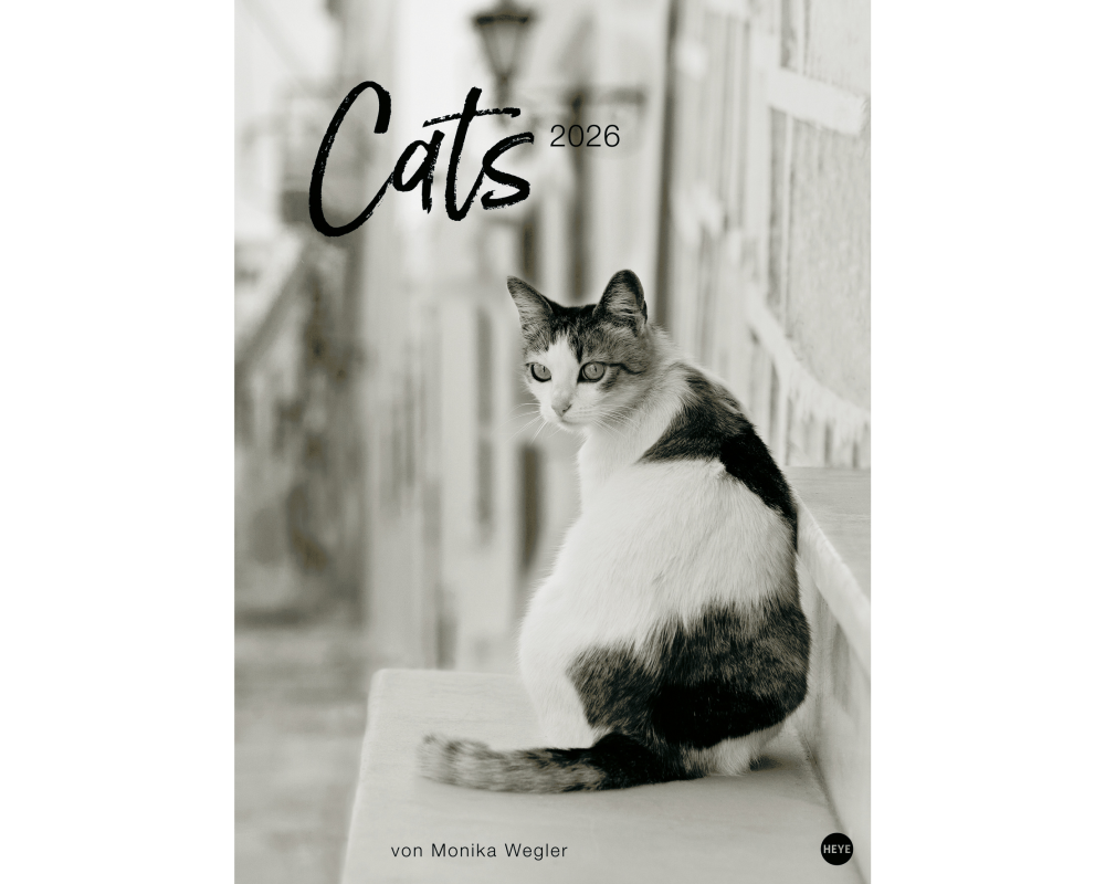 HEYE Bildkalender 2026 22848+26 Wegler Cats Edition DE 49x68cn