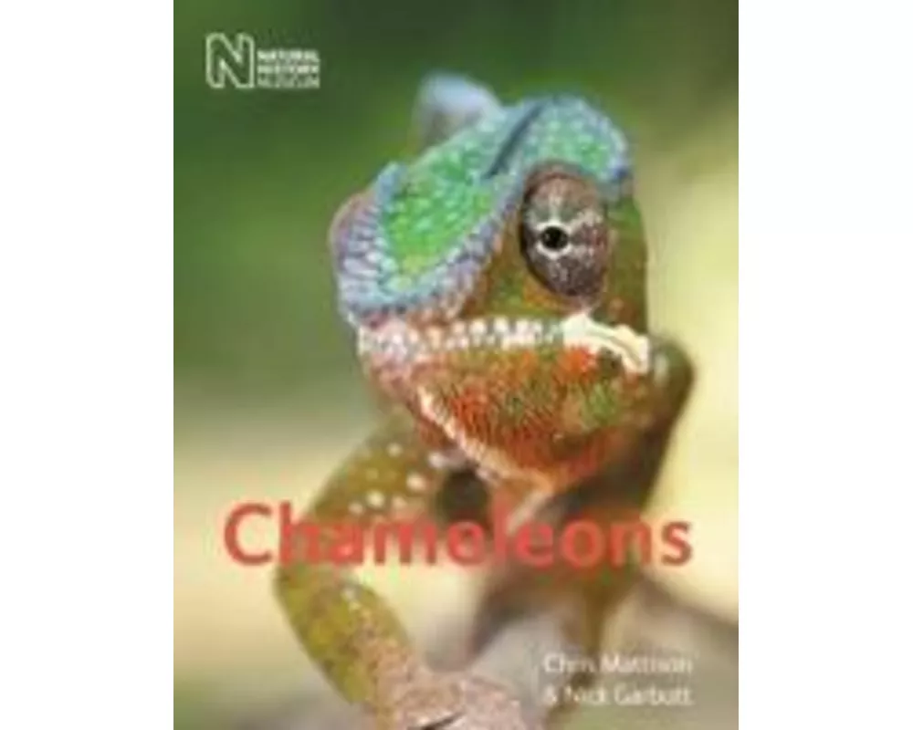 Chameleons